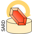 Logo SARD